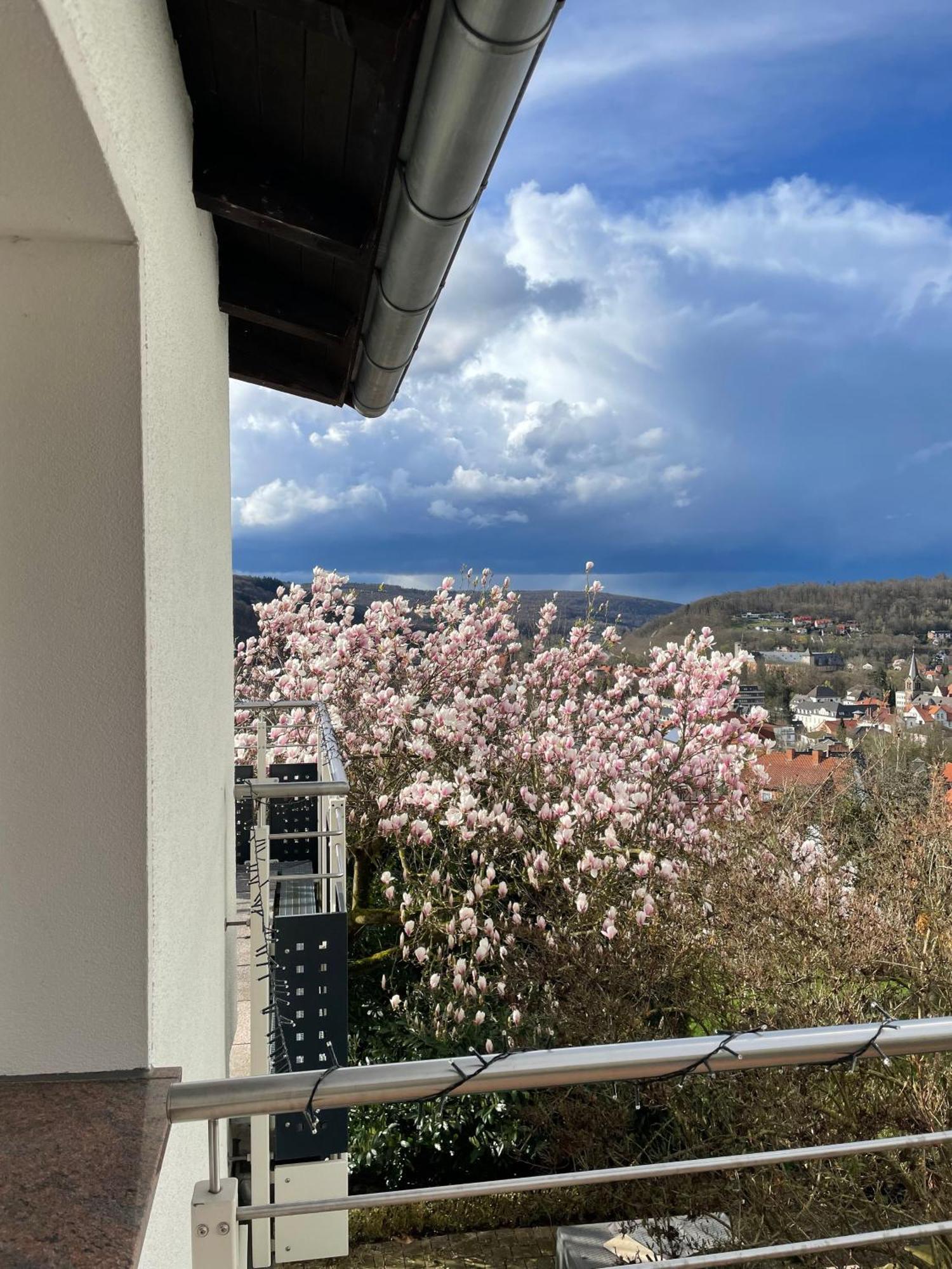 Ferienhaus Chalet Andante Hannoversch Münden Exteriér fotografie